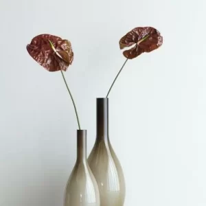 Großhandel ⭐ Leonardo Vase BEAUTY 39 Cm Beige 🥰 6