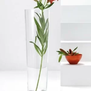 Neu ⭐ Großhandel 🎉 Leonardo Bodenvase KONISCH 70 Cm 😀 ⭐ 7