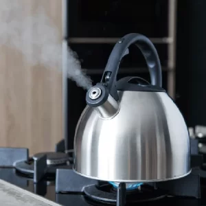Billig 🔔 Bester Verkauf 👍 Bredemeijer Flötenkessel Edelstahl Matt Gebürstet, 2,5 Liter 🌟 ⭐ 6